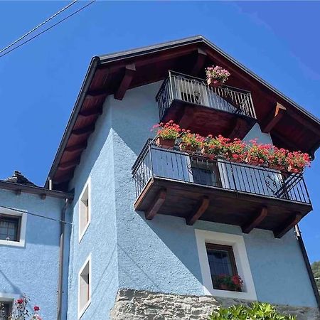 Casa Del Cios Calda E Intima Casetta Immersa Nel Verde Delle Montagne Alpe Basciumo Dış mekan fotoğraf
