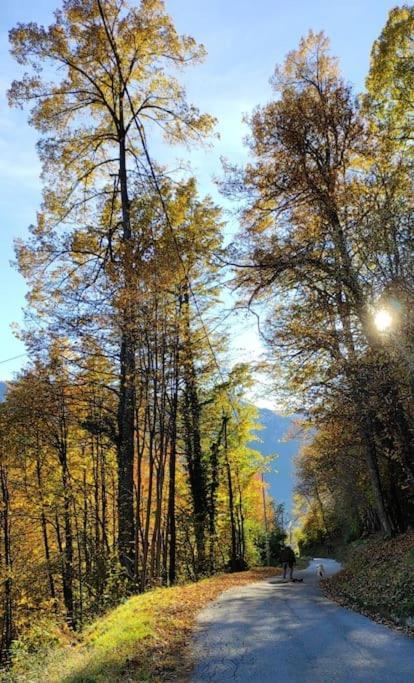Casa Del Cios Calda E Intima Casetta Immersa Nel Verde Delle Montagne Alpe Basciumo Dış mekan fotoğraf