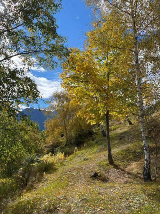 Casa Del Cios Calda E Intima Casetta Immersa Nel Verde Delle Montagne Alpe Basciumo Dış mekan fotoğraf
