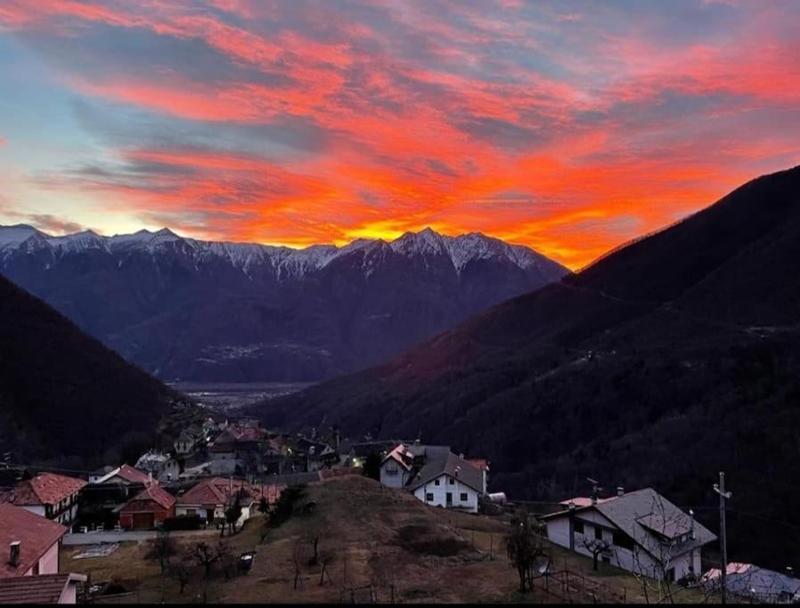 Casa Del Cios Calda E Intima Casetta Immersa Nel Verde Delle Montagne Alpe Basciumo Dış mekan fotoğraf