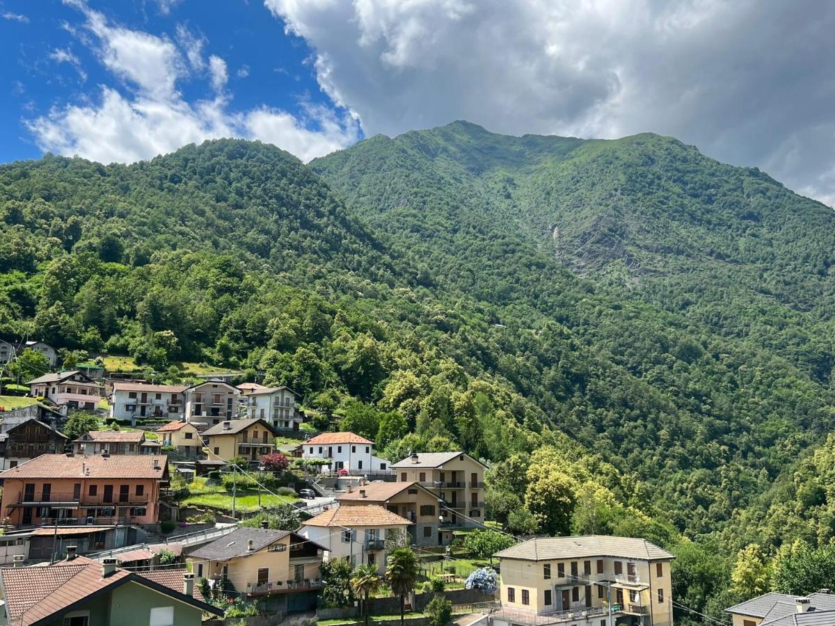 Casa Del Cios Calda E Intima Casetta Immersa Nel Verde Delle Montagne Alpe Basciumo Dış mekan fotoğraf